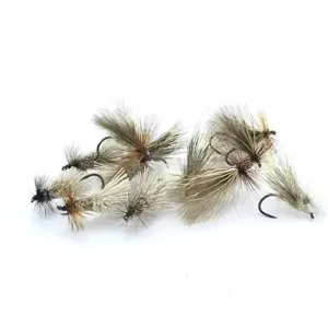 CADDIS & SEDGE